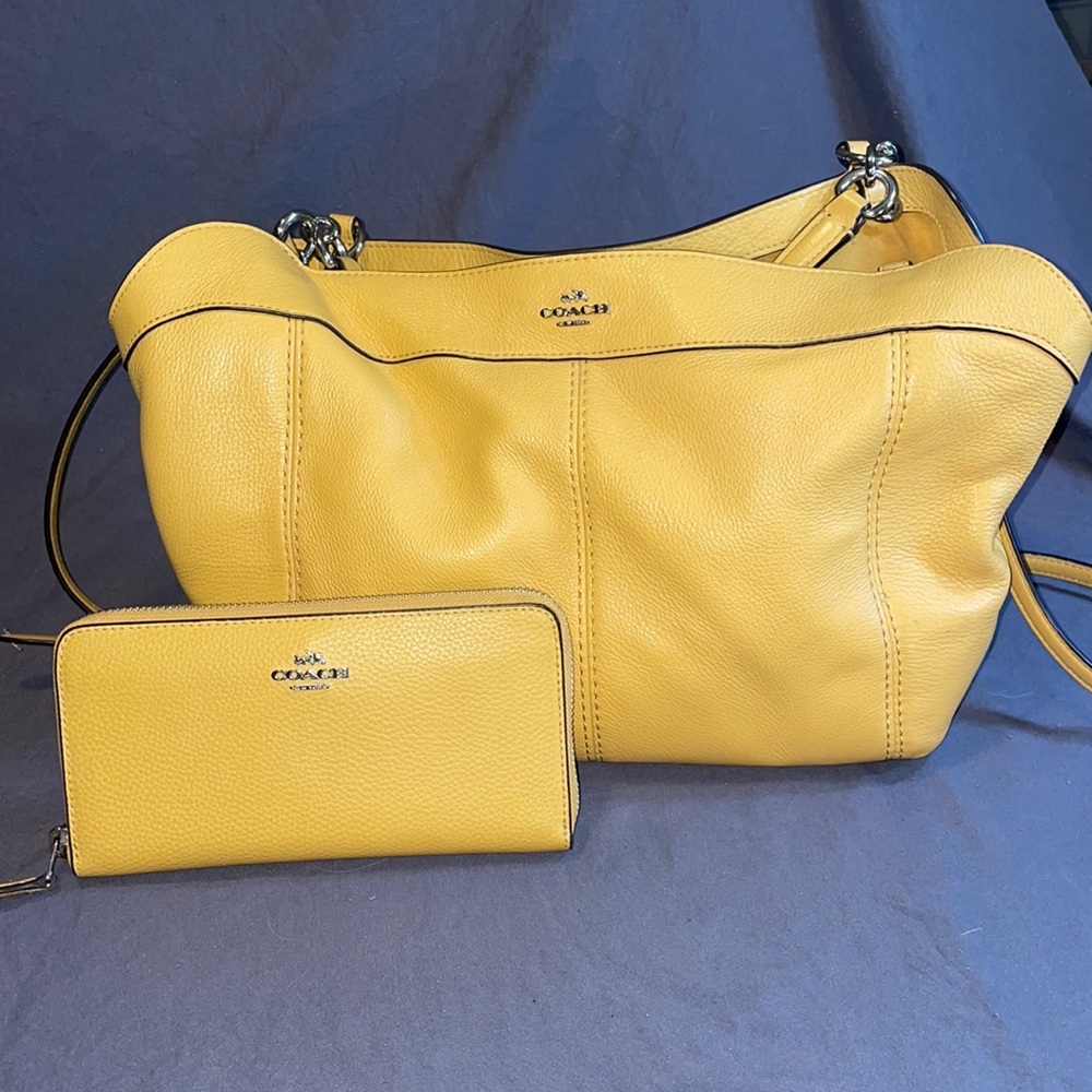 Coach Purse and Wallet Set
